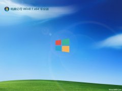 Թ˾win8.1ǿ64λv2024.11