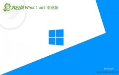 ײwin8.164λµ»v2024.11